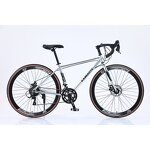 Professional Road Bike Factory - OEM 2025 China Factory 21 Speed Bike