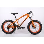 Beach Bicycle Manufacturer - OEM China Factory Direct 24-26 Inch Snow Bike