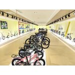 Cycle Supplier - OEM Wholesale Cheap 16-22 Inch High Carbon Steel Frame