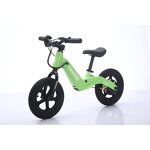 Magnesium Alloy Frame Balance Bike Factory - OEM 24V 120W Motor 12 Inch