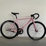 700C Classic Fixed Gear Bicycle Factory - OEM 2025 New Model Steel Fixie
