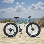Carbon Steel Mountain Bike Supplier - OEM Factory Price 26 Inch Downhill