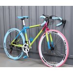Women's Road Bike Manufacturer - OEM Adult Commuter High Carbon Steel Disc