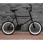 20 Inch BMX Bike Manufacturer - OEM Hot Sale Reverse Brage Sports Student
