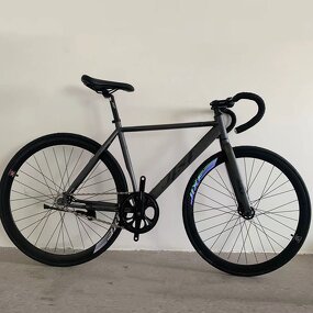 Fixed Gear Bikes Supplier - OEM Wholesale High Quality Steel Frame 700C