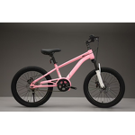 Cycle Supplier - OEM Wholesale Cheap 16-22 Inch High Carbon Steel Frame