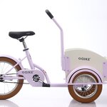 Tricycle Cargo Bike Manufacturer - OEM Popular New Style Reverse Three-Wheel