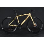 Lightweight Racing Bike Supplier - OEM Aluminum Alloy 9 Speed 700C Road Bike