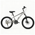 20 Inch Children Bike Factory - OEM Student Bicycle Single Speed Bisicleta