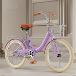 Women's Bicycle Manufacturer - OEM Hot Sale High Carbon Steel Single Speed