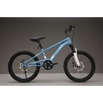 Cycle Supplier - OEM Wholesale Cheap 16-22 Inch High Carbon Steel Frame