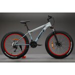 Fatbike Manufacturer - OEM Carbon Steel Full Suspension 29 Downhill MTB