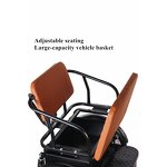 Adult Tricycle Supplier - OEM Factory Price 20-Inch Classic 3 Wheel Bike