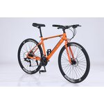 Racing Carbon Steel Bike Manufacturer - OEM Factory Wholesale 24-30 Speed