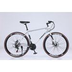 700C Mountain Bike Manufacturer - OEM Hot Sale Double Disc Brake Bike