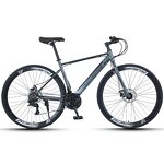 Racing Carbon Steel Bike Manufacturer - OEM Factory Wholesale 24-30 Speed