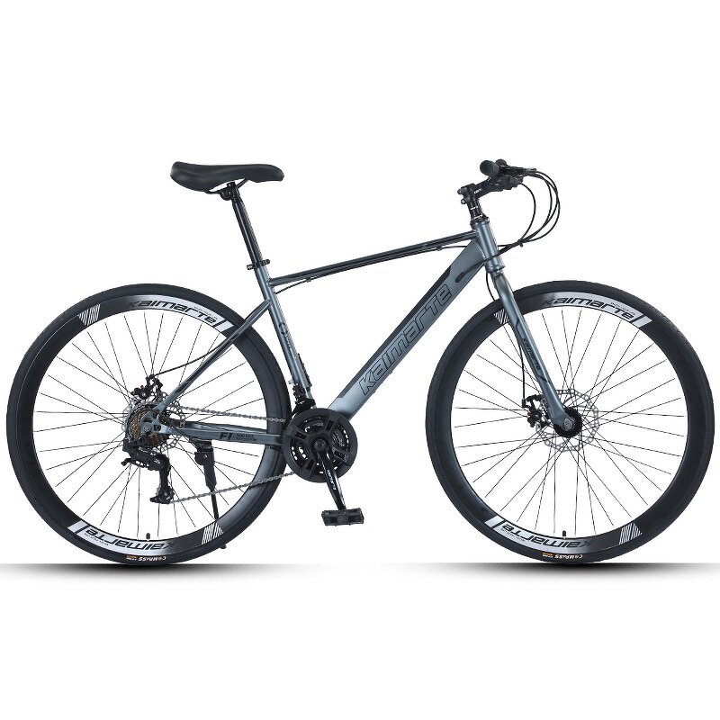 Racing Carbon Steel Bike Manufacturer - OEM Factory Wholesale 24-30 Speed