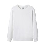 Solid Color Hoodie Factory - OEM Winter Trendy Crew Neck 100% Cotton Pullover