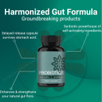 ACORN Probiotics Supplements Prebiotic Postbiotic Support Digestive System Gut Health Probiotic Capsules