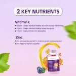 OEM Elderberry Gummies for Kids & Adults With Echinacea Zinc and Vitamin C Sugar Free Elderberry Gummy