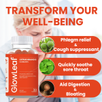 Acorn Vegan Supplement Promoting Digestion Exocarpium Supplement Citrus Grandis Gummies