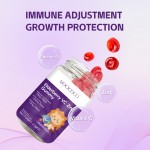 OEM Hot Sales Organic Elderberry Gummies with Zinc and Vitamin C Seamoss Immune Support Antioxidant Beauty Products for Adults