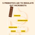 GlowLeaf Gut Health Supplement Probiotics Immune Support Wight Managements Prune Aloe Vera Jelly Stick