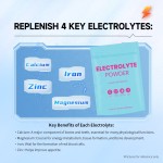 Acorn Multivitamins Electrolyte Powder Bulk Pedialyte Electrolyte Powder Hydration Powder Electrolyte