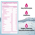 ACORN Vegan Sports Supplement Electrolyte Hydration Powder Packets Drink Mix Energy Electrolytes Powder