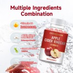 ACORN Gummies Custom Apple Cider Vinegar Gummy Vitamins Vegan Flat Tummy Apple Cider Vinegar Gummies Apple Shape