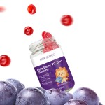 Hot Sell OEM Immune System Support Gummies Sambucus Black Elderberry Gummies with Vitamin C and Zinc Immune System Antioxidant