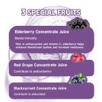 OEM Elderberry Gummies for Kids & Adults With Echinacea Zinc and Vitamin C Sugar Free Elderberry Gummy