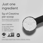 ACORN Pure Creatine Monohydrate Powder Creatine Powder Sachet Creatine Monohydrate Powder