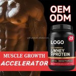 Acorn Wholesale Whey Protein Powder 100% Whey Protein Powder
