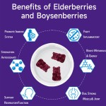 Glowleaf Vitamin C Elderberry Gummie Vitamins Gummy Candies Elderberry Gummies