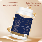 Spore Powder Manufacturer - OEM High Concentration Essence