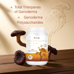 Ganoderma Spore Powder Manufacturer - OEM Broken Wall Immune