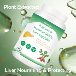 Liver Support Capsules Manufacturer - OEM Pueraria Hovenia Formula