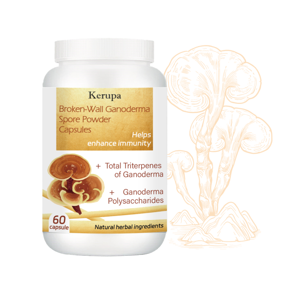 Ganoderma Powder Factory - OEM 98 Percent Broken Wall