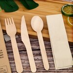 Disposable Spoon Knife Fork Factory - OEM 160mm Degradable Western Food Set