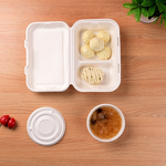 Foldable Bento Box Factory - OEM Disposable Biodegradable Elegant American Style