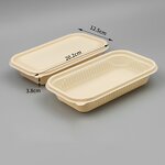 Eco-friendly Lunch Box Factory - OEM Customized Square Degradable Salad Box