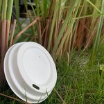 Hotel Paper Cup Manufacturer - OEM 100% Eco-Friendly Biodegradable with Lid