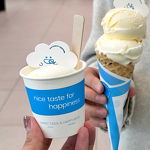 Eco Ice Cream Cups Manufacturer - OEM Custom 4oz Single Wall Biodegradable