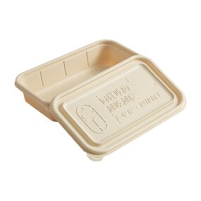 Eco-friendly Lunch Box Factory - OEM Customized Square Degradable Salad Box