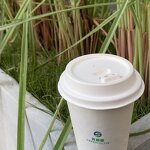 Hotel Paper Cup Manufacturer - OEM 100% Eco-Friendly Biodegradable with Lid
