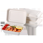 Foldable Bento Box Factory - OEM Disposable Biodegradable Elegant American Style