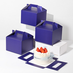 Plastic Cake Box Supplier - OEM Portable Disposable 4-Inch Square Recyclable