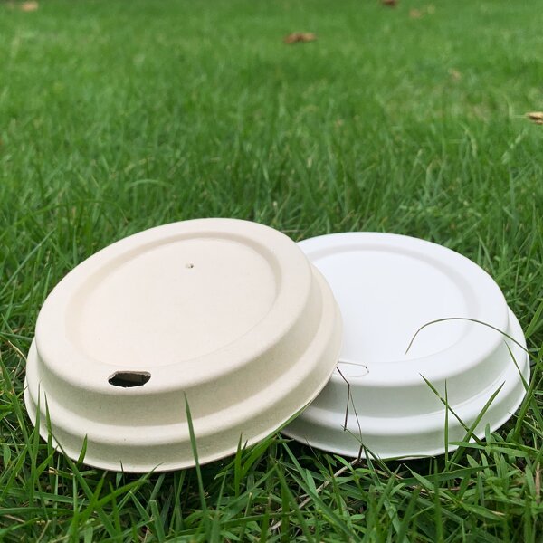 Hotel Paper Cup Manufacturer - OEM 100% Eco-Friendly Biodegradable with Lid