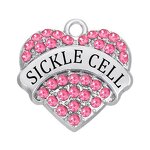 Crystal Charms Factory - OEM Personalized Sickle Cell Pave Hearts